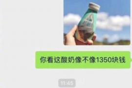 石门石门的要账公司在催收过程中的策略和技巧有哪些？